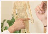 体の不調原因を追求し、未病を防ぎます